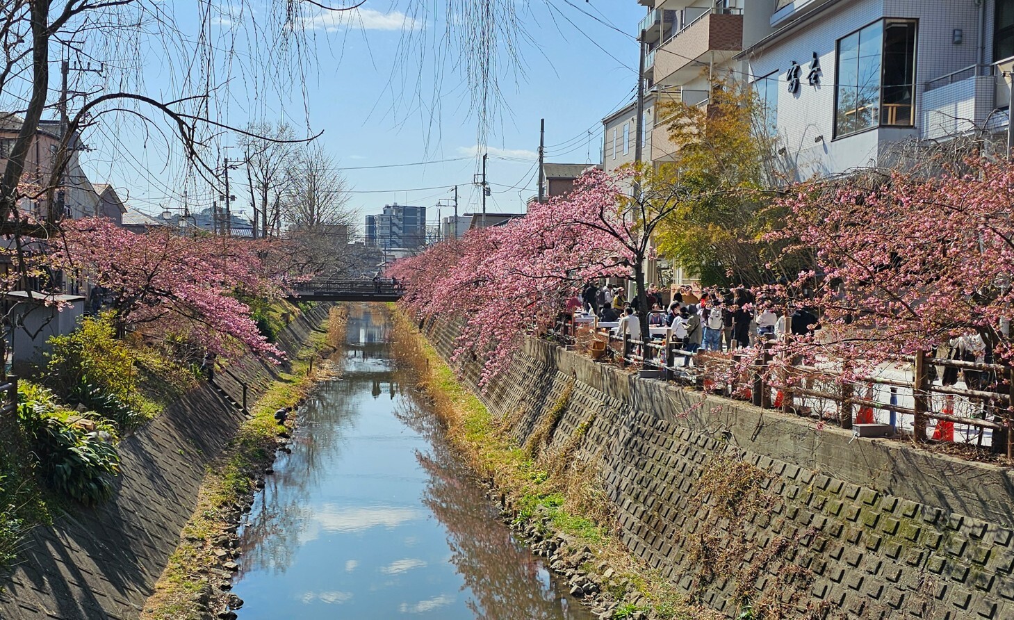 250402-06.jpg