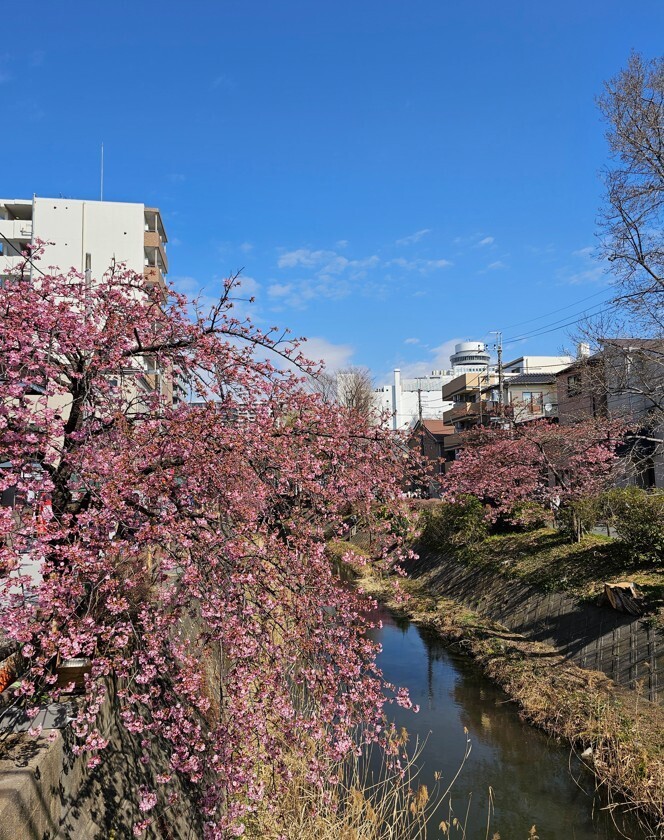 250402-08.jpg