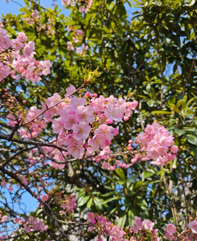250402-10.jpg