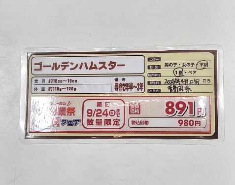 60525-02.jpg