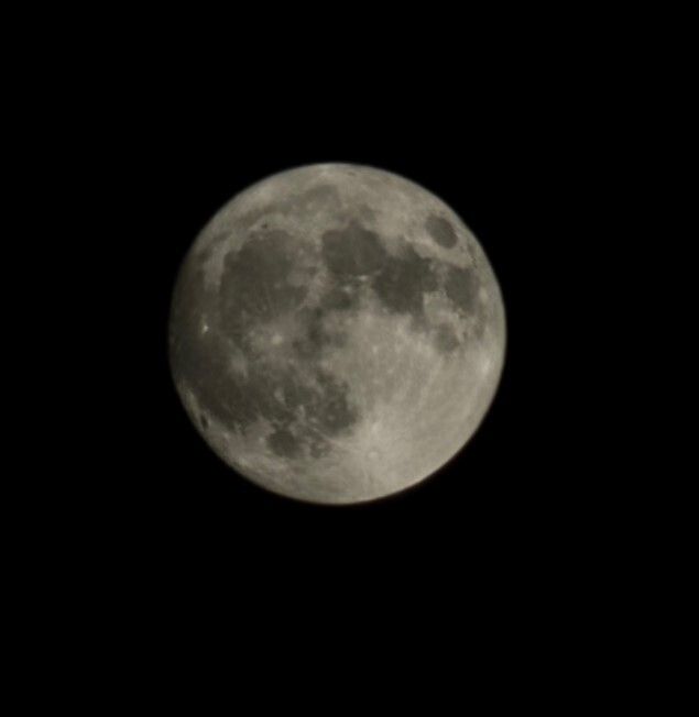 61017-01.jpg