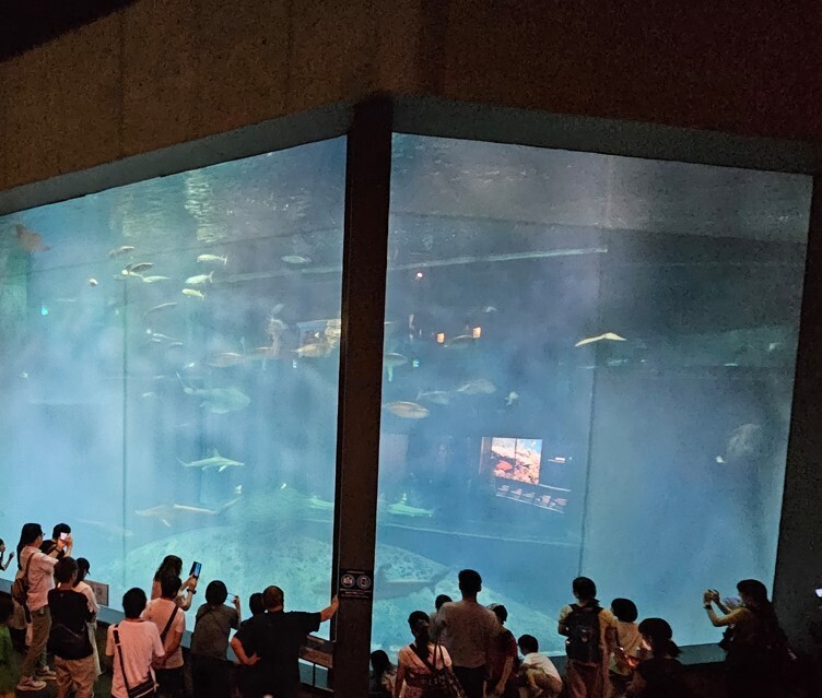 50914-06.jpg